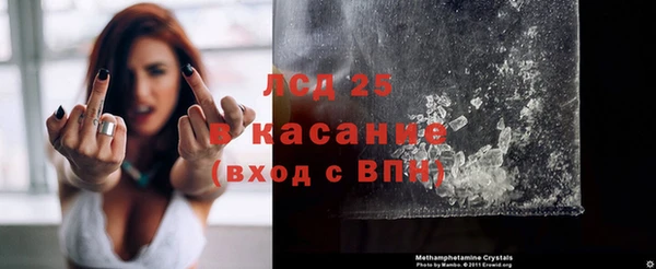 эйфоретик Беломорск