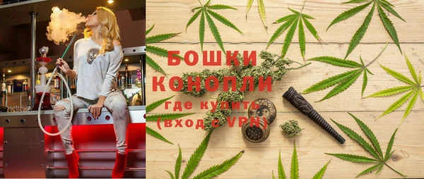 эйфоретик Беломорск