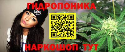 гидра Абинск