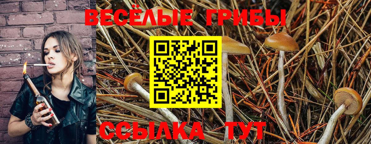 Галлюциногенные грибы GOLDEN TEACHER  закладка  Бирск  Псилоцибиновые грибы мухоморы 