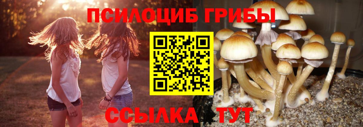 Бирск  Псилоцибиновые грибы мицелий  Вход с VPN  Псилоцибиновые грибы прущие грибы 